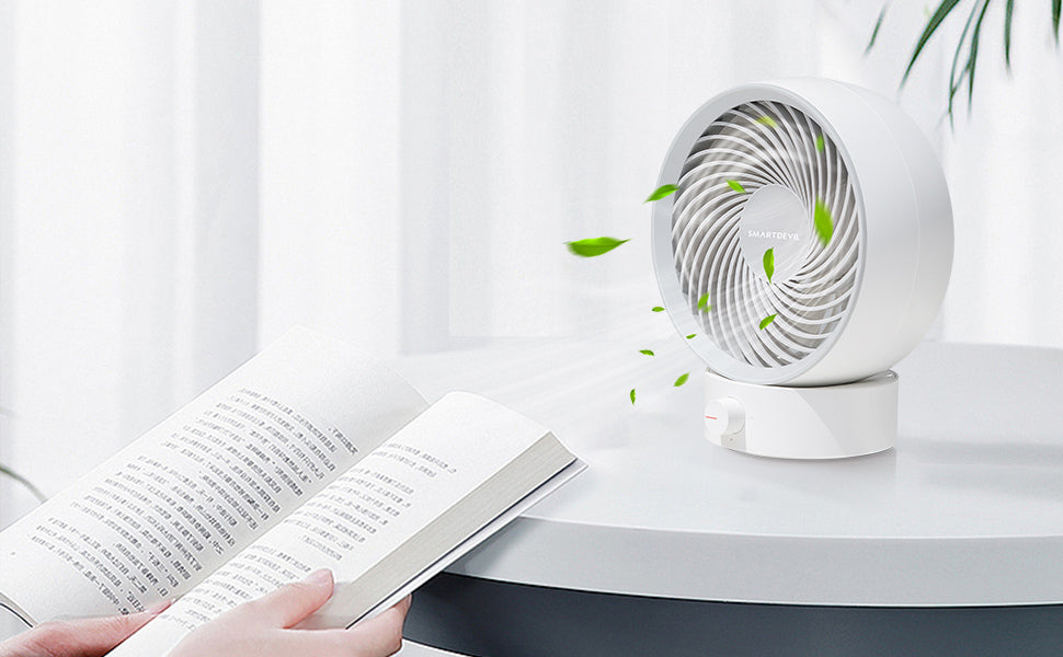 Desk Fan