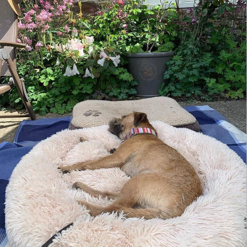 ComfyCave™