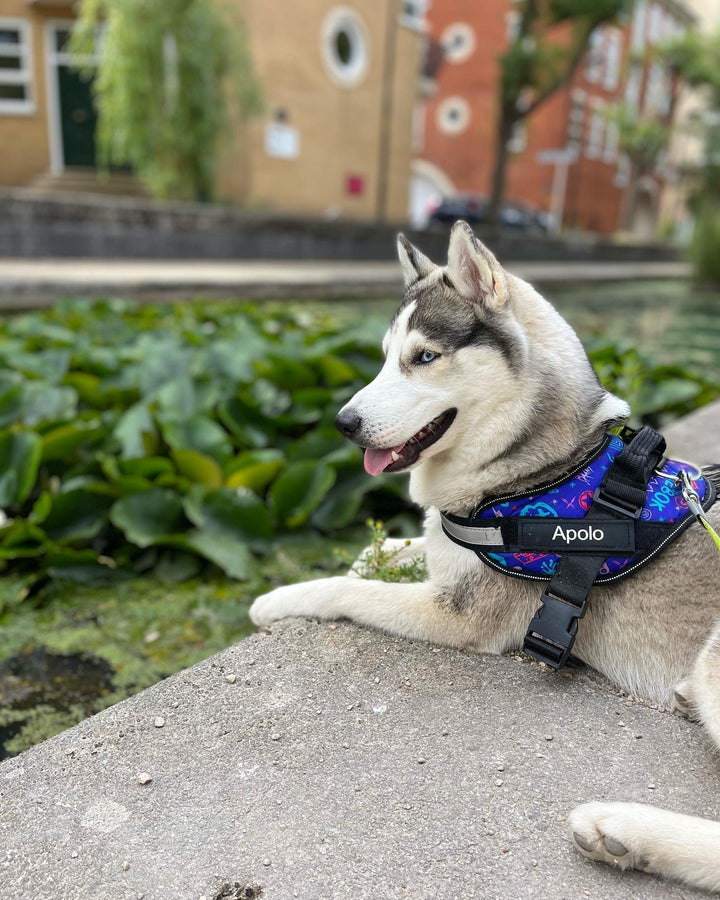 WoofWear™