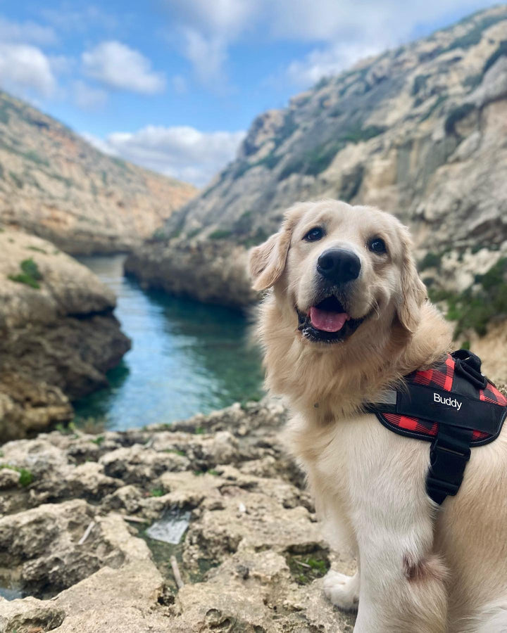 WoofWear™