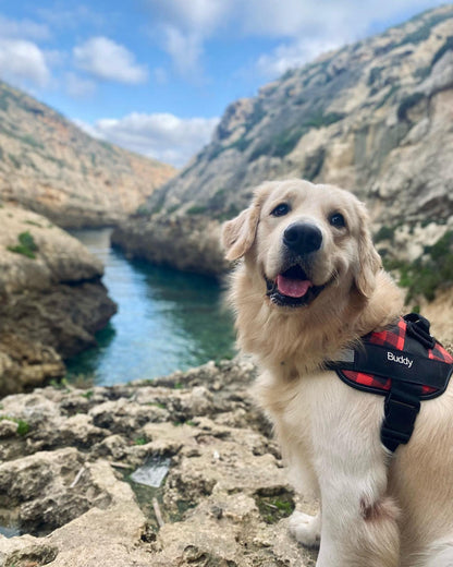 WoofWear™