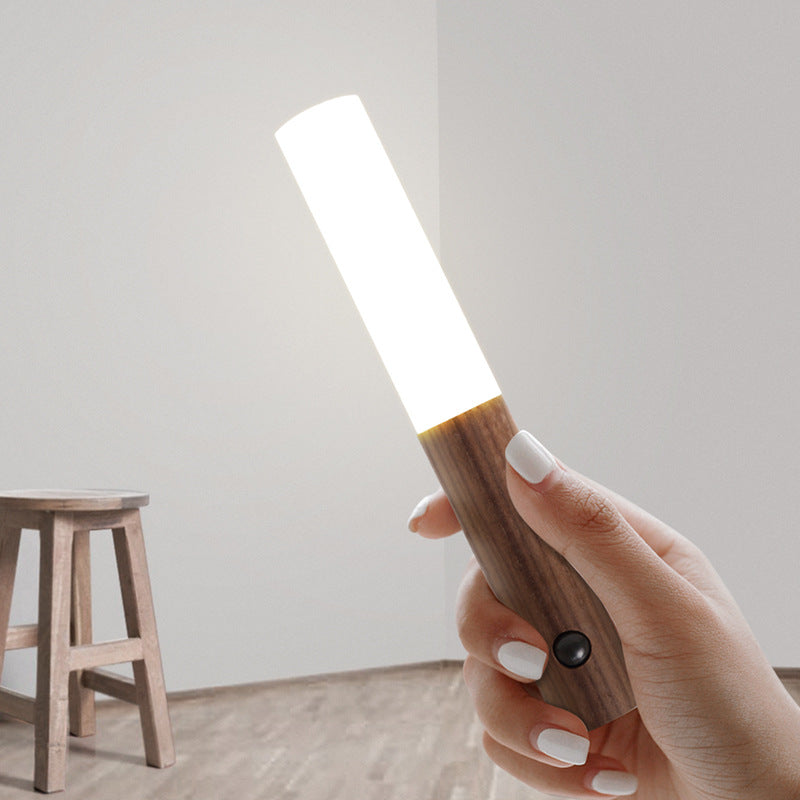 Magnetic Lights