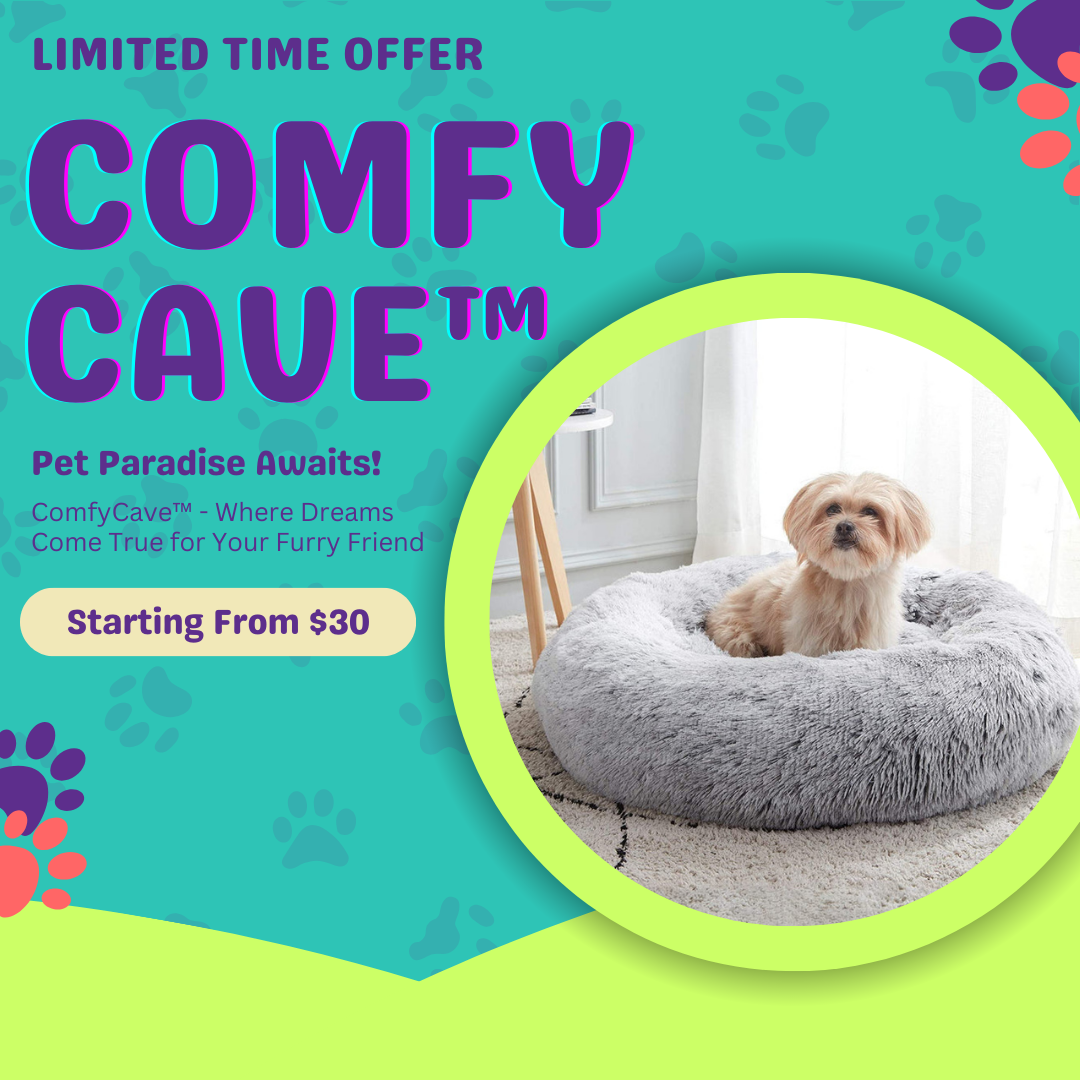 ComfyCave™