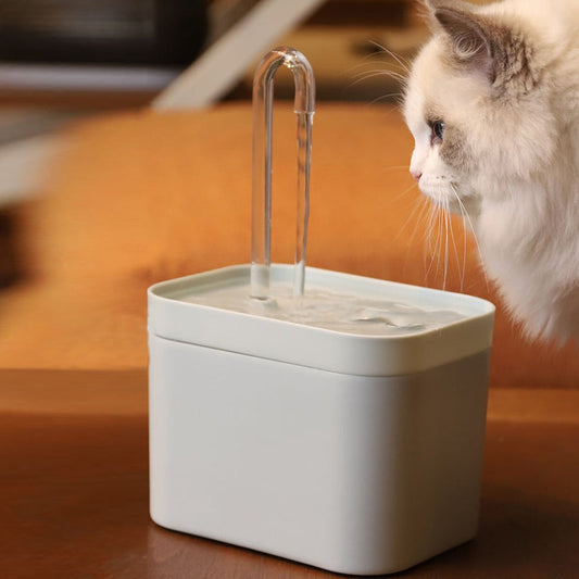 Pet Water Dispenser