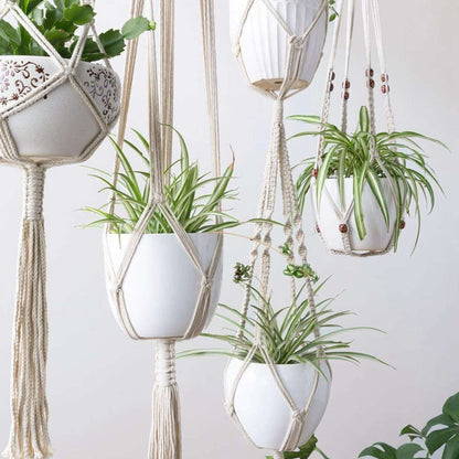 5 Set Macrame Plant Hangers