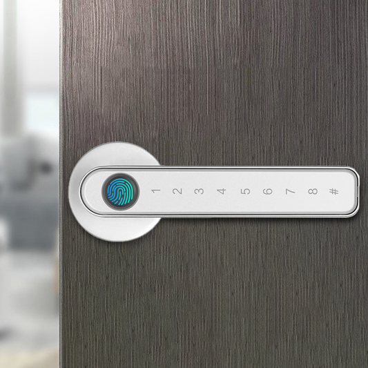 Fingerprint Door Lock