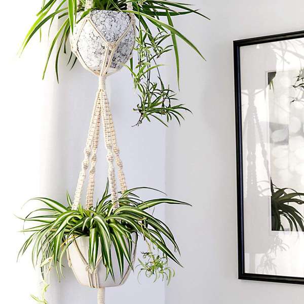 5 Set Macrame Plant Hangers