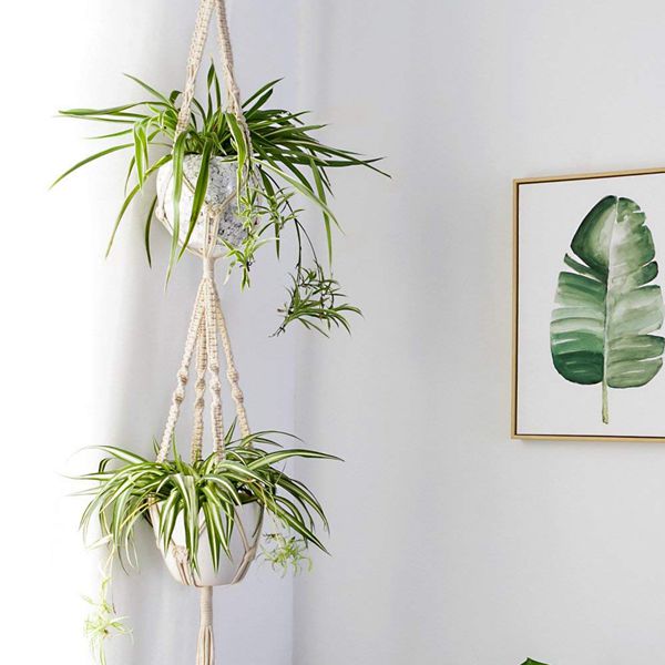 5 Set Macrame Plant Hangers