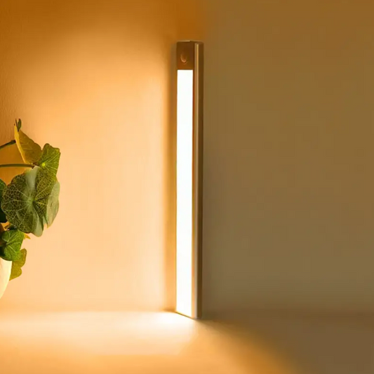 Motion Sensor LED Light