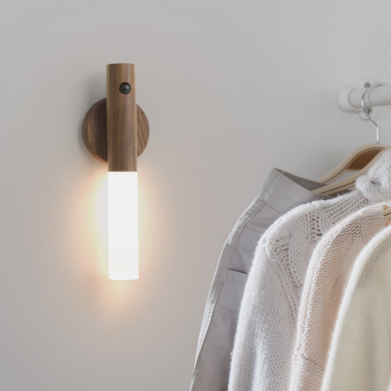 Magnetic Lights