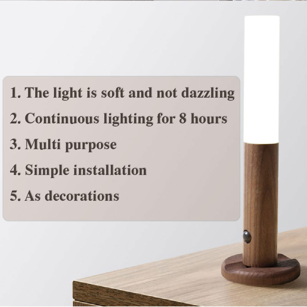 Magnetic Lights