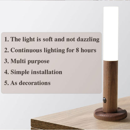 Magnetic Lights