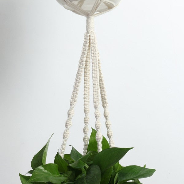 5 Set Macrame Plant Hangers