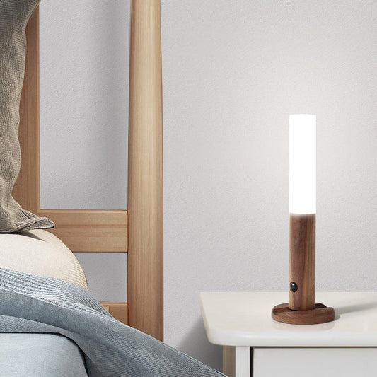 Magnetic Lights