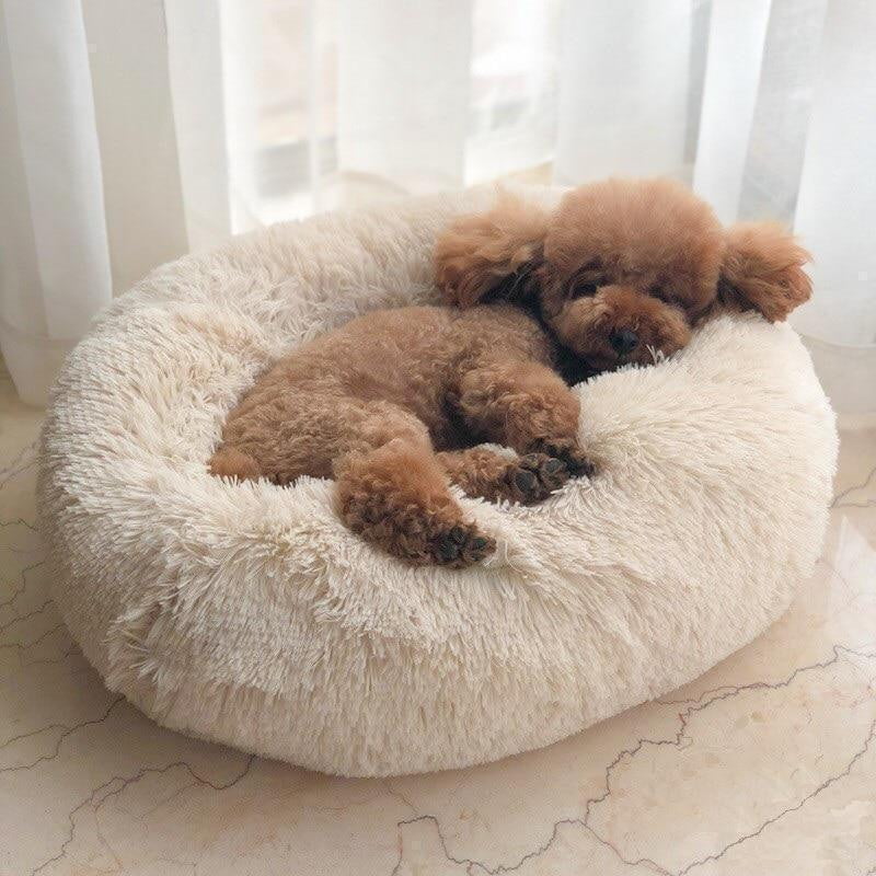 ComfyCave™