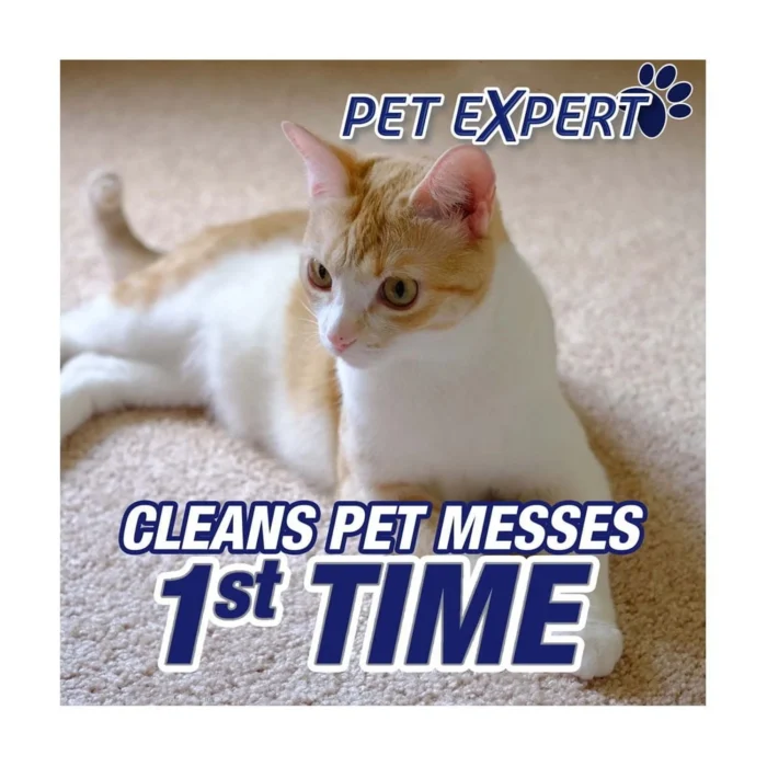 Resolve Pet High Traffic Carpet Stain Cleaner Solution and Odor Remover Foam, 22 oz - Image 2
